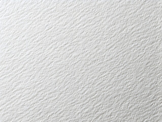 Clean White Background with Paper Grain