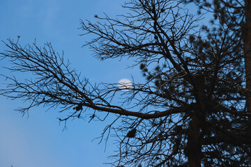 Descanso na Serra da Estrela