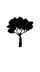 árbol silueta 