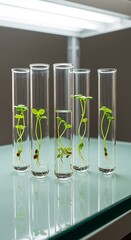 Life in Vitro: Seedling Growth Study