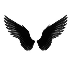 Obraz premium Dark feathered wings spread isolated on transparent background