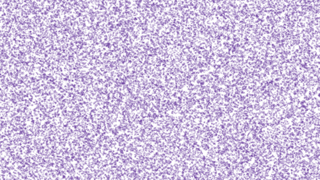 purple fabric texture