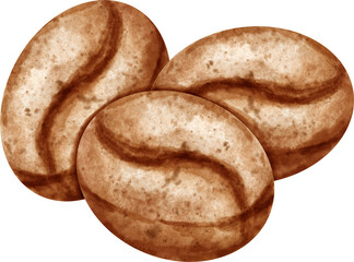 watercolor coffee bean