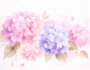Fototapeta premium Summer flower, beautiful and pure hydrangea - 여름 꽃, 아름답고 순수한 수국