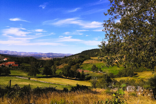 Testes no Ger&ecirc;s