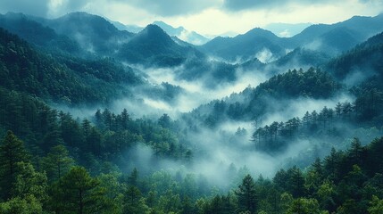Obraz premium Misty mountain landscape with lush green forests and rolling hills enveloped in ethereal fog during a tranquil morning