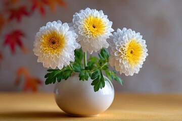 White and yellow chrysanthemum flowers in a vase