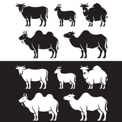 Fototapeta premium Vector Set of Qurbani Animals – Cow, Goat, Sheep, Camel, and Bull for Eid al-Adha