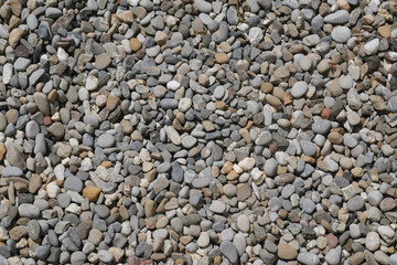 Pebbles in different sizes and shades in my garden