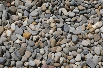 Pebbles in different sizes and shades in my garden