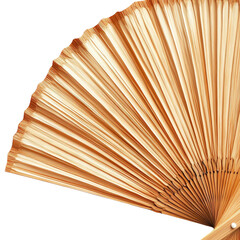 Elegant gold fan, white isolate background