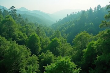 Obraz premium Forest Landscape with Colorful Trees