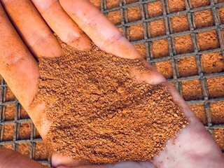 Crumbs of artificial clay tennis court on a palm close up top view. Structure of clay court macro...