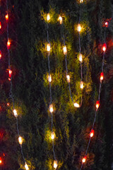 lighting on tree at night, Night theme garden decoration with tree decorated with light bulb, Wedding ceremony evening with candles and lamps in the coniferous pine forest
