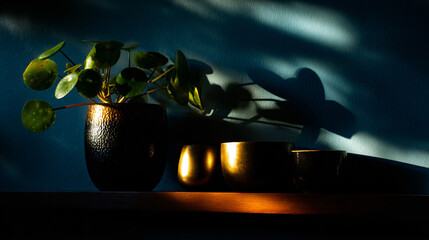 Plant pots and vases displayed on a shelf with soft light against a blue wall.