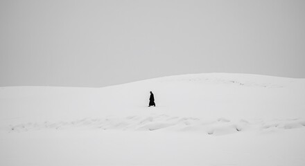 Person Walking on Snow Field