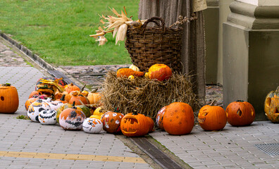 Decorating the city with pumpkins for a holiday in the fall.