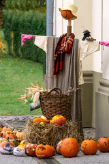 Decorating the city with pumpkins for a holiday in the fall.