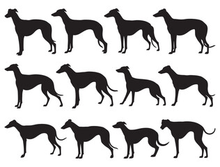 GREYHOUND DOGS SILHOUETTE WHITE BACKGROUND