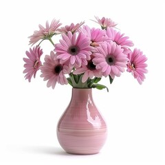 Fototapeta premium Pink gerbera flowers standing in a pink vase, isolated on a white background, creating a delicate and romantic atmosphere