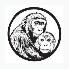 vector illustration of two monkeys