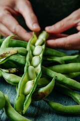 closeup of a man taking broad beans out of its pod