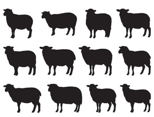 SHEEPS SILHOUETTE WHITE BACKGROUND