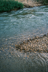 Clear stream water with pebbles and grass along the bank
