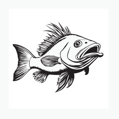 fish vector illustration