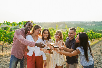 Happy friends cheering with red wine at countryside summer event - Multiracial people having fun...