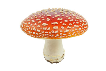 Stunning Close-up of a Red Mushroom . Transparent background PNG