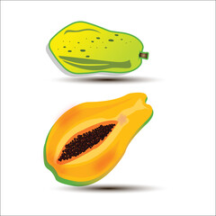 Delicious papaya vector