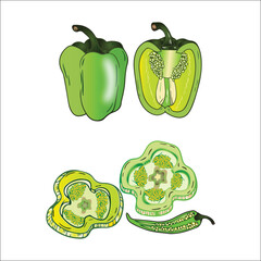  green Capsicum Vegetable flat vector illustration