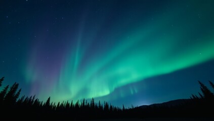Stunning view of the Northern Lights over a forested landscape. The vibrant green aurora illuminates the night sky, creating a mesmerizing natural phenomenon