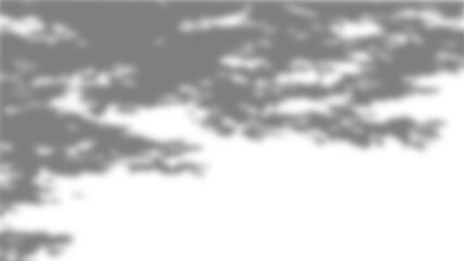 realistic sunlight leaf shadow overlay for natural design