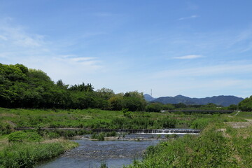日本　埼玉の風景