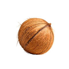 High detailed whole coconut isolated transparent background with natural texture and brown color