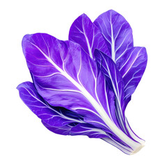 Purple leafy vegetable with white veins isolated on transparency background, fresh and vibrant