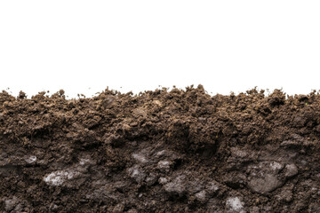 Detailed View of Rich Soil Texture . Transparent background PNG