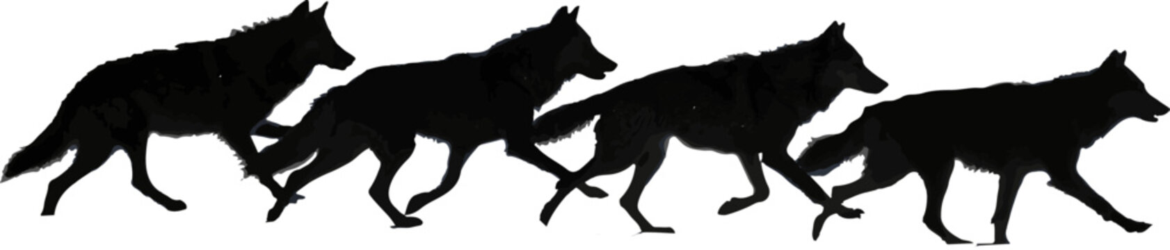 Wolf Pack Running Silhouette