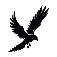 Silhouette of a Soaring Hawk