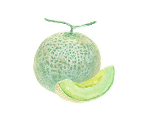 水彩絵の具で描いたメロンのイメージ