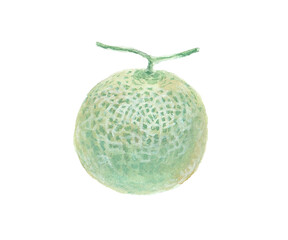 水彩絵の具で描いたメロンのイメージ