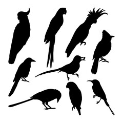 bird silhouette design collection with white background set