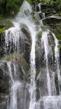 Vertical view of a natural Xurbeo waterfall cascading down moss-covered rocks in a lush forest setting. Asturias, Spain