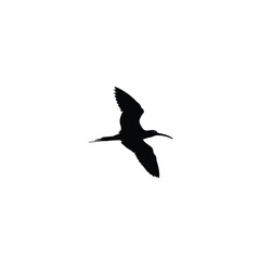 Skimmer silhouette on white background