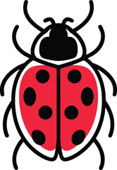 Obraz premium lady bird beetle colorful line art illustration