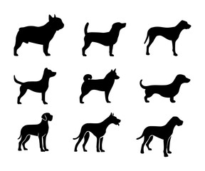 dog animal silhouette collection set on white background