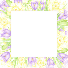 Hand drawn watercolor daffodil and crocus with green leaves frame border isolated on white background. Can be used for postcard, invitation, scrapbook and other printed products.