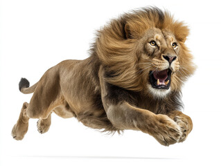 Obraz premium A golden-brown lion in a dynamic roar against a light background, possibly indoors with artificial lighting The mane is darker No other objects or people are visible - AI-Generated